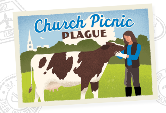 illustration of a cow at a church picnic